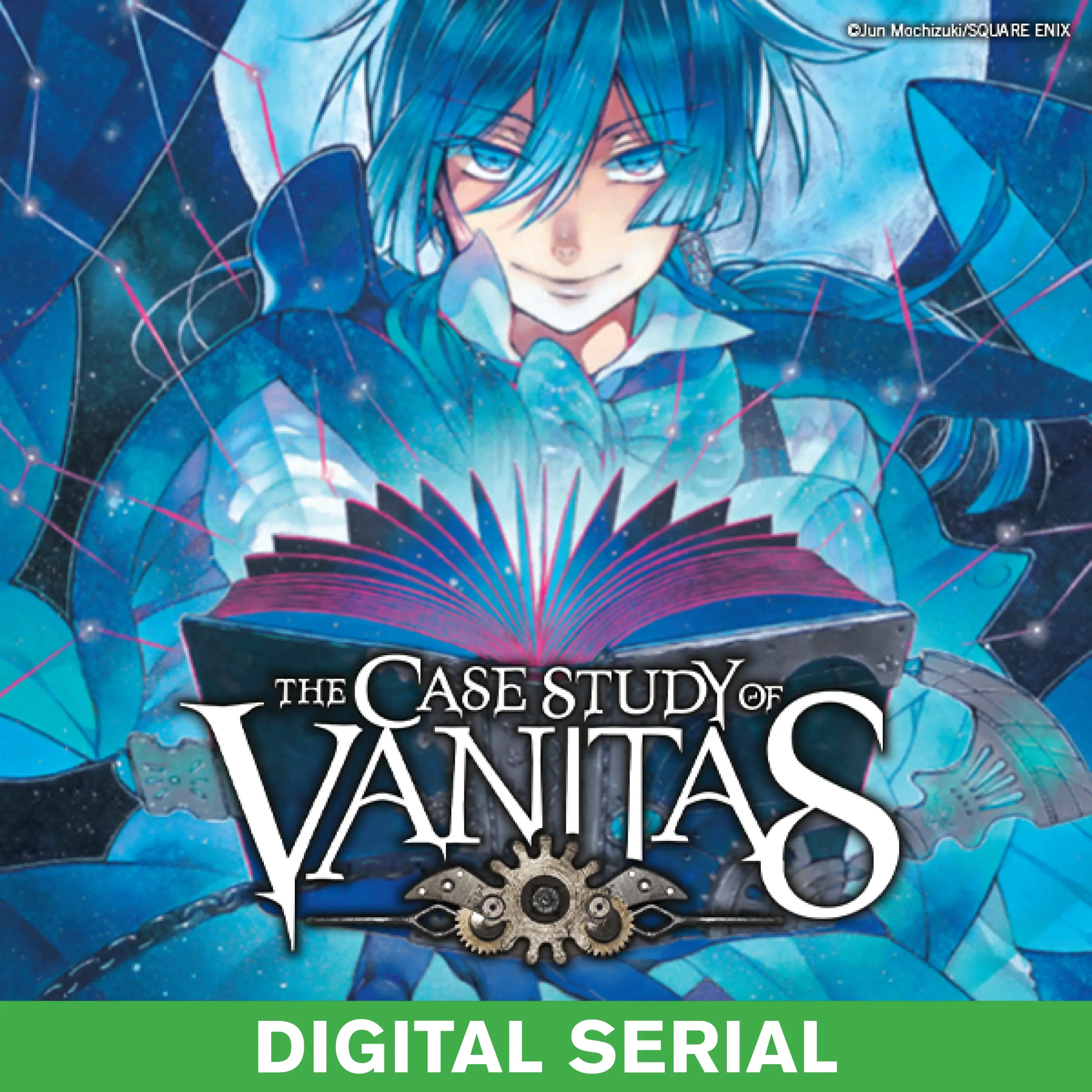 The Case Study of Vanitas Serial