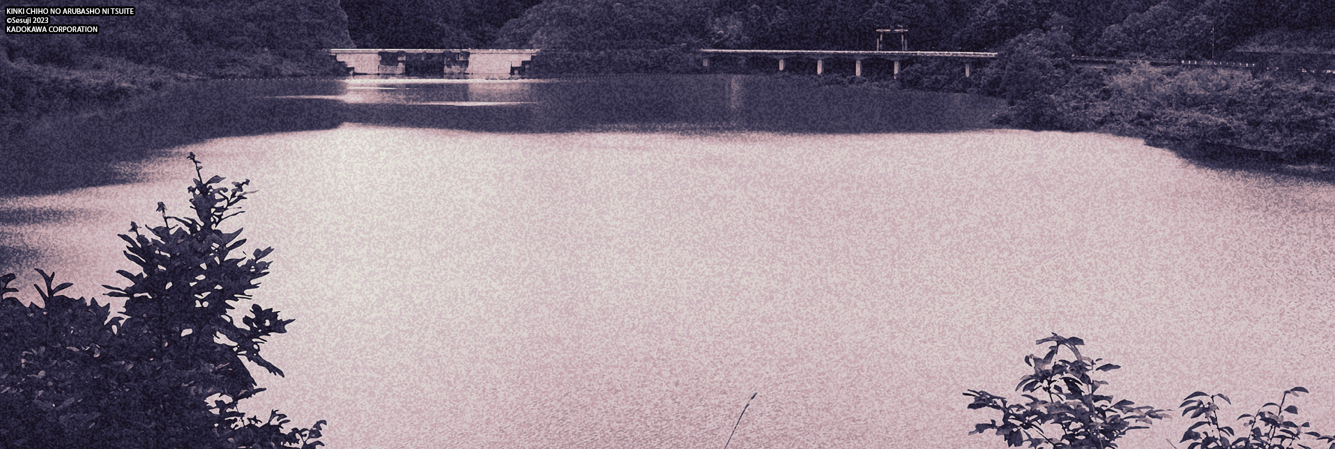 PIONEERING A NEW GENRE