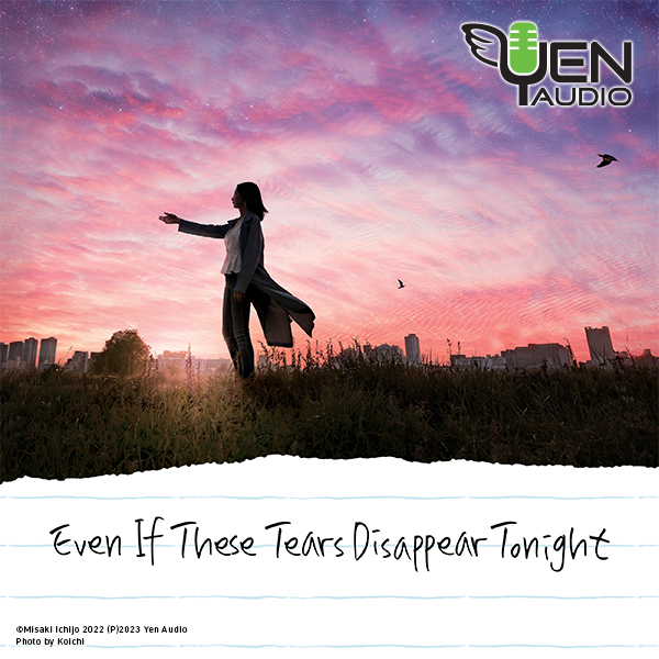 Even If These Tears Disappear Tonight (audio)