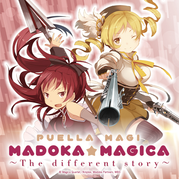 Puella Magi Madoka Magica: The Different Story