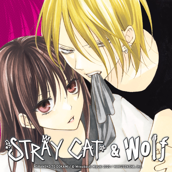 Stray Cat & Wolf
